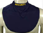 Security Blue and Gold
