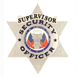 SECURITY 6 PT STAR – SILVER