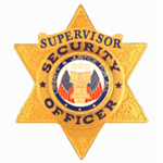 SECURITY 6 PT STAR – GOLD