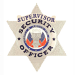 SECURITY 6 PT STAR – SILVER