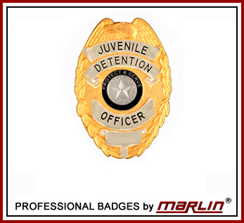 TO PROTECT AND SERVE SILVER