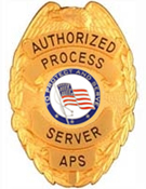 PROTECT AND SERVE FLAG SILVER