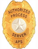 STAR TEXTURED SILVER