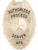 STAR TEXTURED SILVER