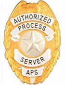 STAR TEXTURED SILVER