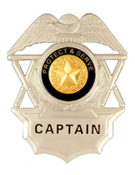 TO PROTECT AND SERVE GOLD