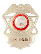 COMMITTED TO EXCELLENCE RED/SILVER