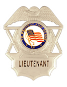 PROTECT AND SERVE FLAG GOLD