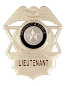 TO PROTECT AND SERVE SILVER