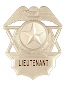 STAR TEXTURED SILVER