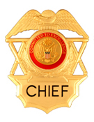 COMMITTED TO EXCELLENCE RED/GOLD