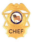 PROTECT AND SERVE FLAG GOLD