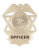 LIBERTY & JUSTICE SILVER