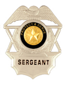 TO PROTECT AND SERVE GOLD