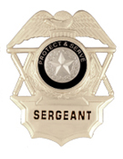 TO PROTECT AND SERVE SILVER