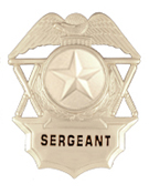 STAR TEXTURED SILVER