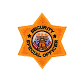 6 PT STAR – GOLD DARK – S.S.O.