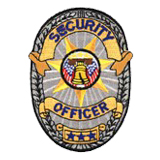 OVAL W/ BRAIDS – GOLD/NAVY ON SILVER