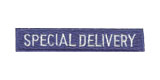 US POSTAL – SPECIAL DELIVERY