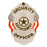 EAGLE W/ FLAGS – BLACK/SILVER-SECURITY ENFORCEMENT