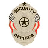 EAGLE W/ FLAGS – BLACK/SILVER – SECURITY OFFICER