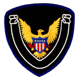 SECURITY – EAGLE W/ SCROLL – GOLD/BLUE ON BLACK