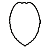 TEARDROP SHIELD CUT OUT