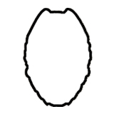 EAGLE SHIELD CUT OUT