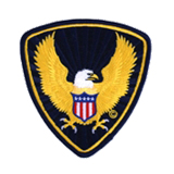 SECURITY – EAGLE – GOLD/GOLD ON BLACK