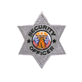 6 PT STAR – SILVER – SEC OFFICER