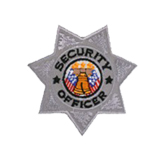 7 PT STAR – SILVER – SEC OFFICER