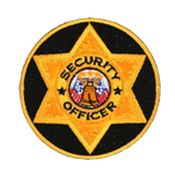 CIRCLE 6 PT STAR – GOLD DARK – SEC OFFICER