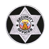 CIRCLE 6 PT STAR – SILVER – SEC OFFICER