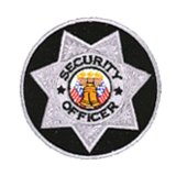 CIRCLE 7 PT STAR – SILVER – SEC OFFICER