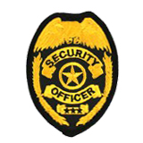 EAGLE W/ BRAIDS – GOLD/BLACK – SECURITY OFFICER