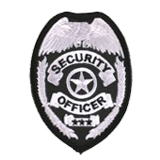 EAGLE W/ BRAIDS – SILVER/BLACK – SECURITY OFFICER