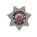 7 PT STAR – SILVER – SEC GUARD