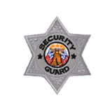 6 PT STAR – SILVER – SEC GUARD