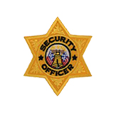 6 PT STAR – GOLD – SEC OFFICER