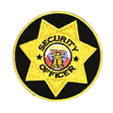 CIRCLE 7 PT STAR – GOLD – SEC OFFICER