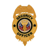 EAGLE W/ CENTER – GOLD – SECURITY OFFICER