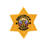 6 PT STAR – GOLD LIGHT – SEC GUARD