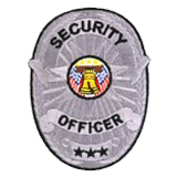 OVAL W/ BRAIDS – SILVER – SEC OFFICER