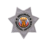 7 PT STAR – SILVER – S.S.O.