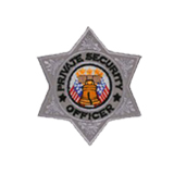 6 PT STAR – SILVER – P.S.O.