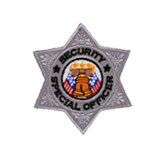 6 PT STAR – SILVER – S.S.O.