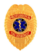 STAR OF LIFE – BLACK/GOLD