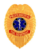 STAR OF LIFE – BLACK/SILVER