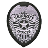 EAGLE W/ RAYS – SILVER ON BLACK – SECURITY OFFICER