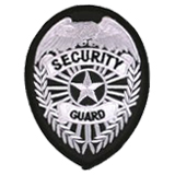EAGLE W/ RAYS – SILVER/BLACK – SECURITY GUARD